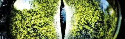 The Bayou (2025) #jackmeatsflix