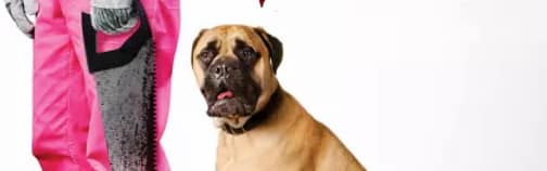 The Voices (2014) #jackmeatsflix