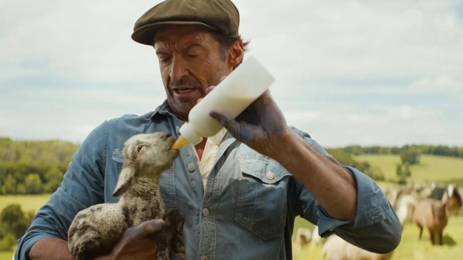 The Sheep Detectives #jackmeatsflix