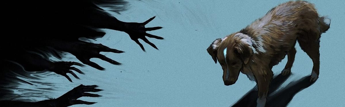 Good Boy (2025) #jackmeatsflix