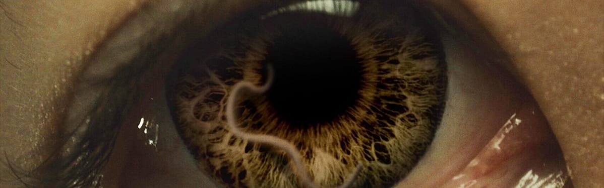 Wormtown (2025) #jackmeatsflix