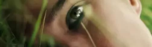 Don't Move (2024) #jackmeatsflix