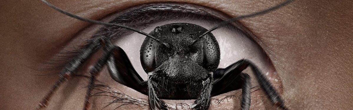 Control Freak (2025)