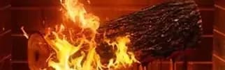 Adult Swim Yule Log 2: Branchin' Out (2024) #jackmeatsflix